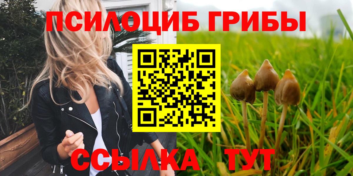 Шахты  Галлюциногенные грибы мухоморы  Вход с VPN  где продают наркотики  Галлюциногенные грибы Magic Shrooms 