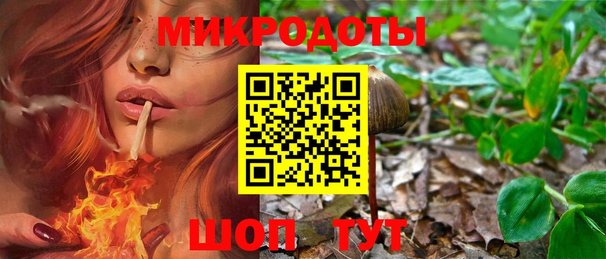 Галлюциногенные грибы мухоморы Шахты